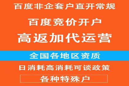 百度竞价推广的技巧与策略：某企业成功案例分享